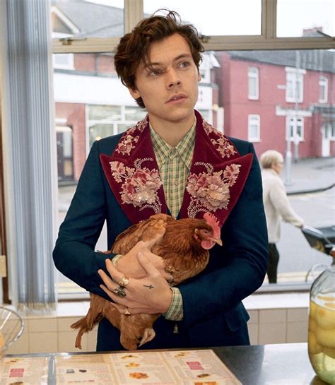 gucci men's tailoring campaign: harry styles film|Harry Styles Stars in Gucci Men’s Tailoring Campaign .